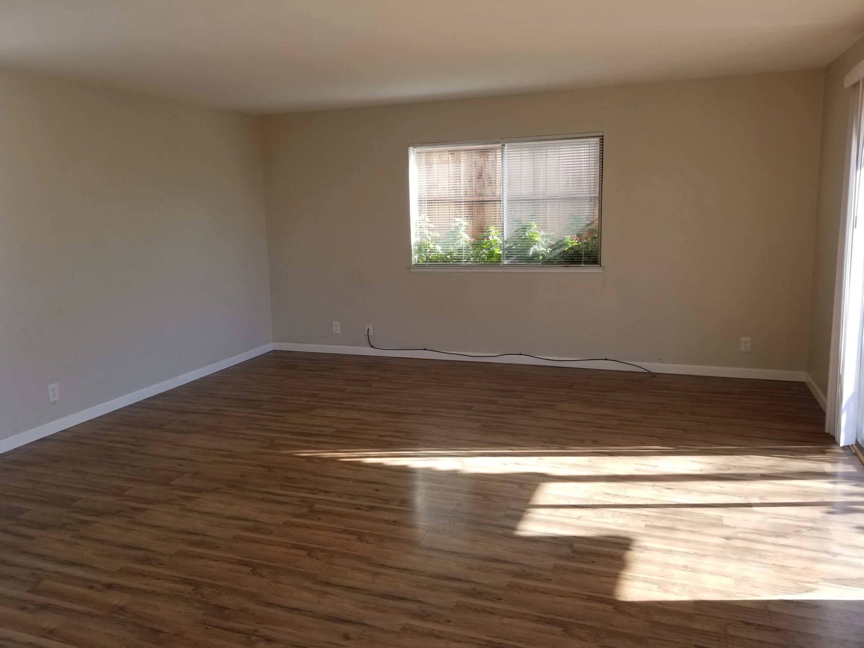 146 Maher Ct photo 5