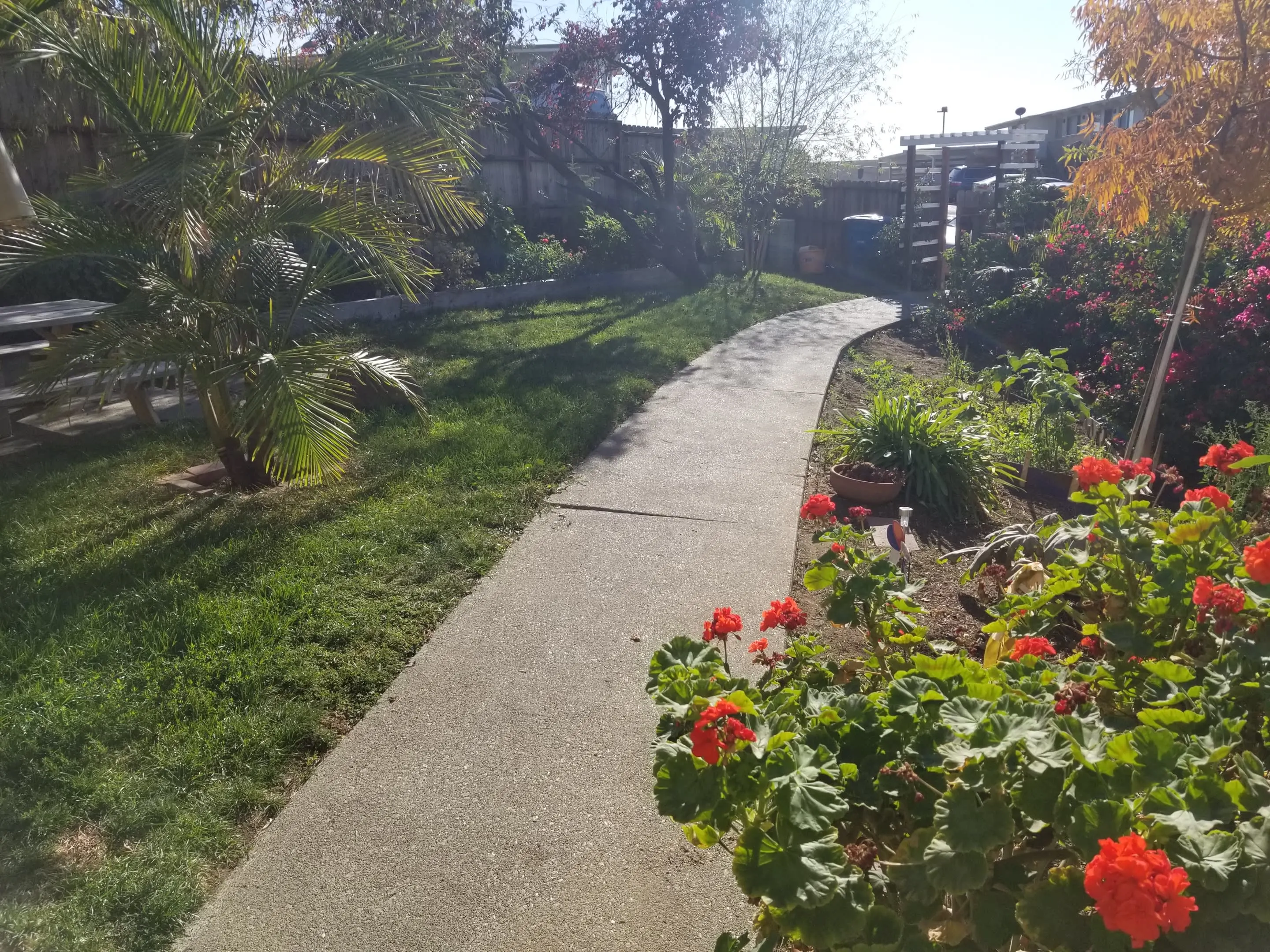146 Maher Ct photo 2