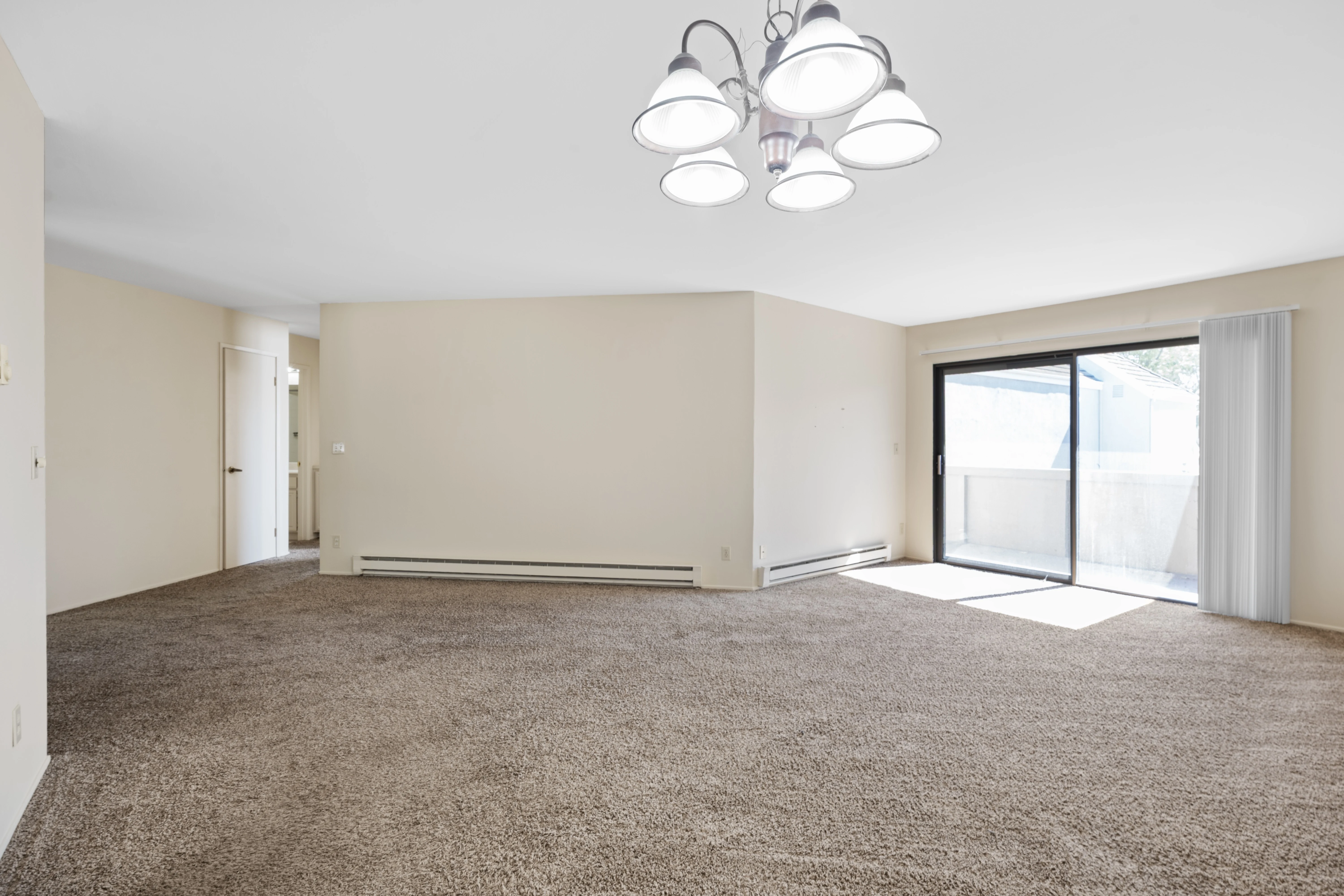 1010 N Abbott Ave photo 5