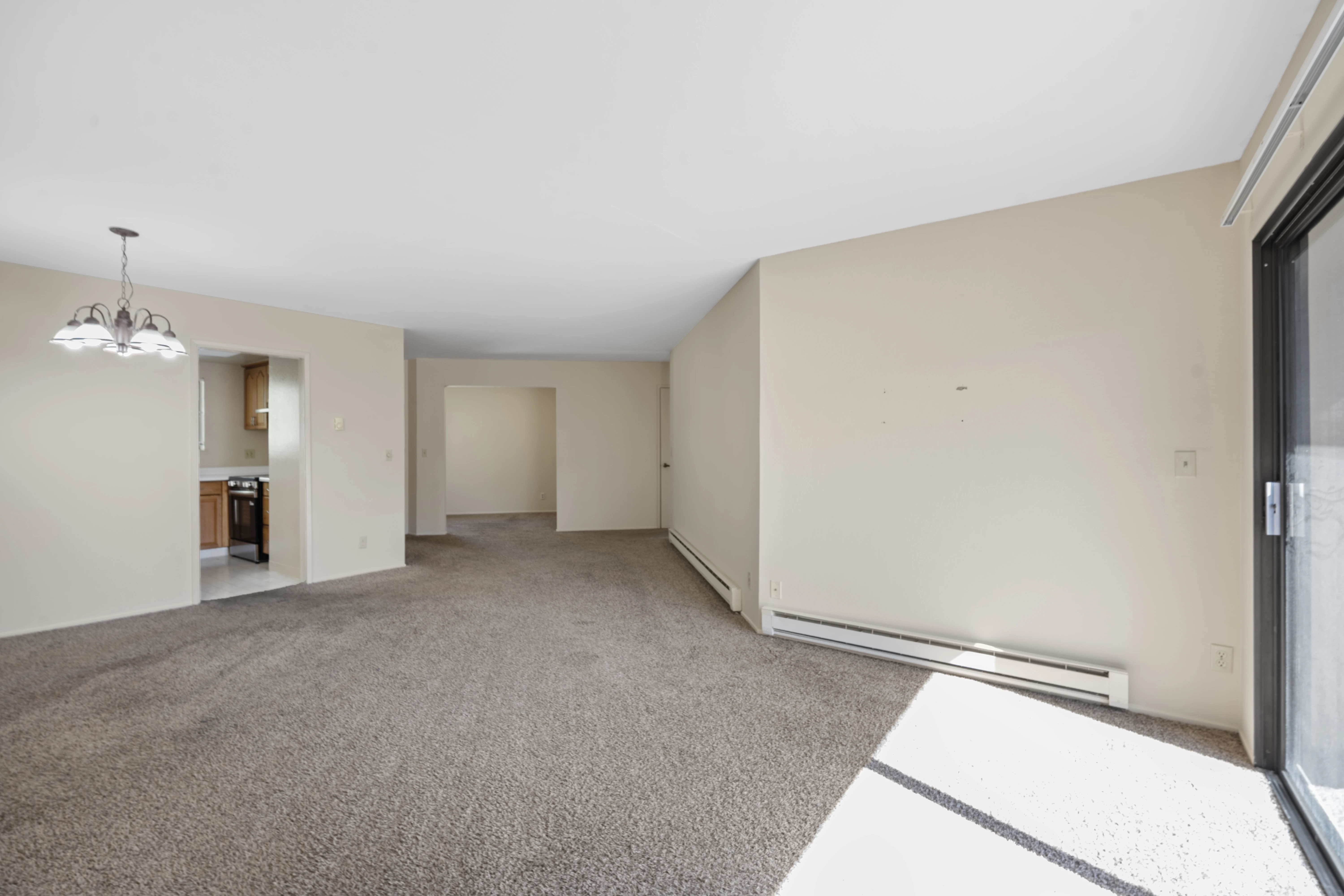1010 N Abbott Ave photo 4