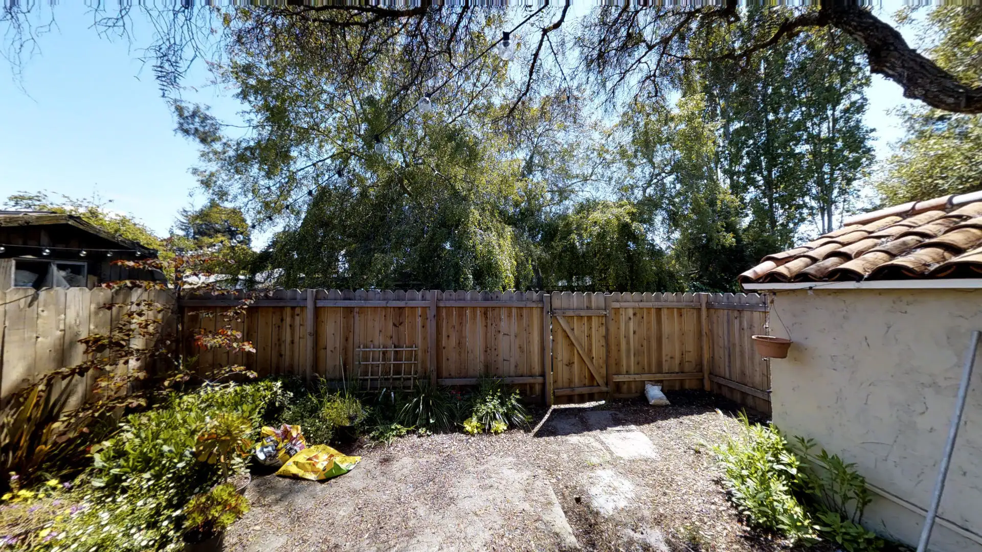 1312 Cedar St # B photo 3