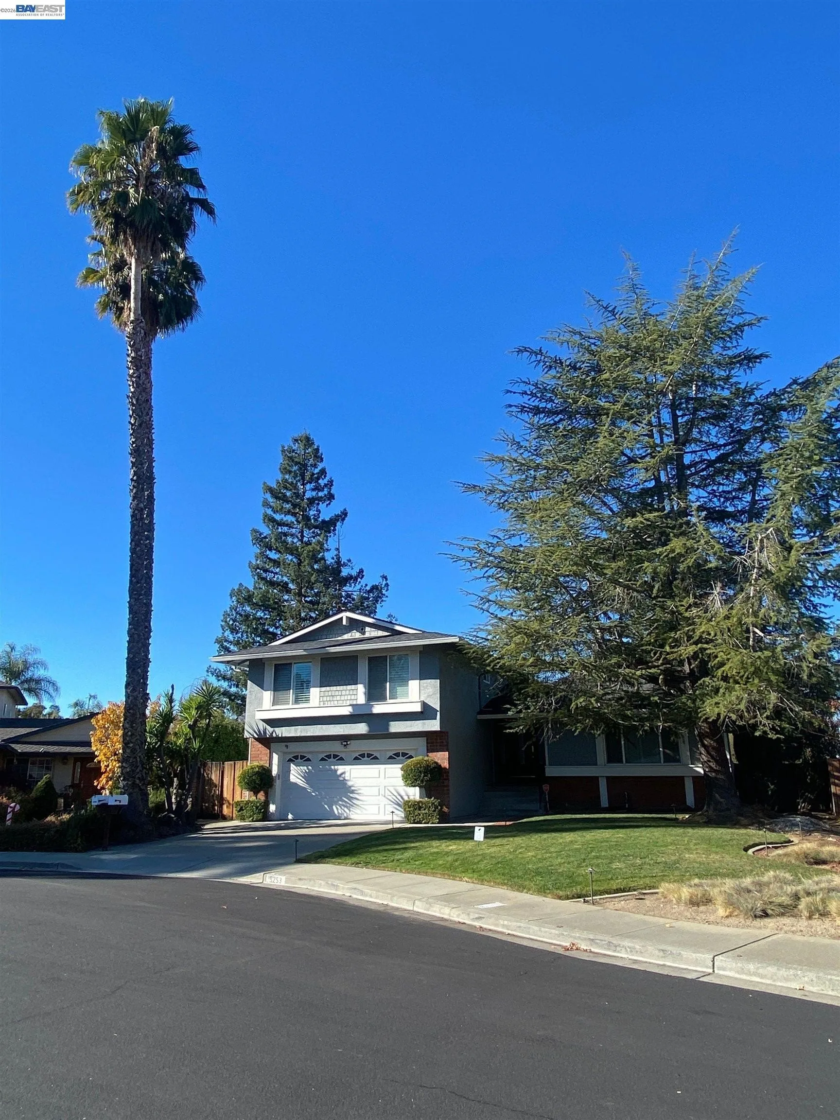 3253 Pomace Court photo 2