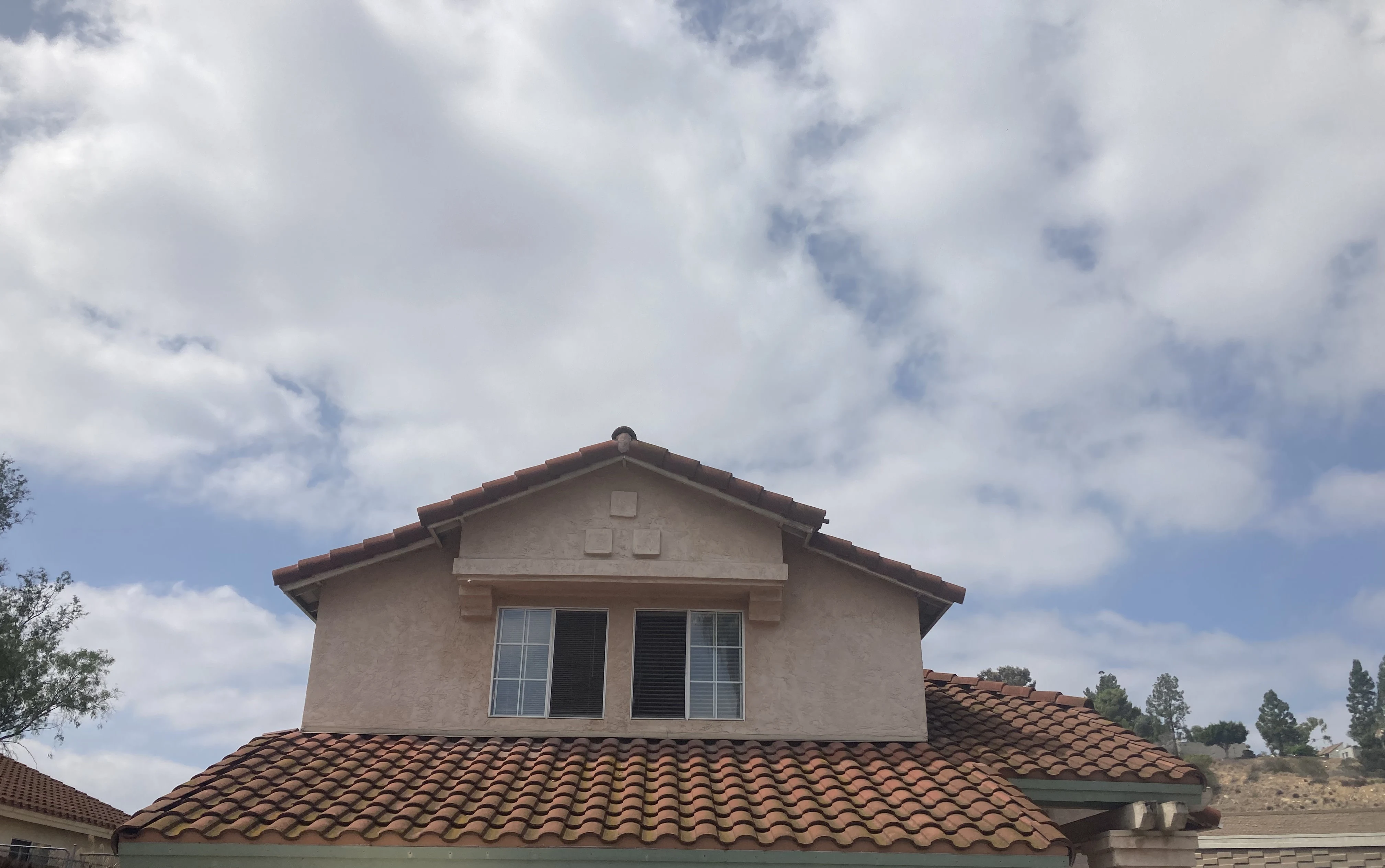 262 Arran Avenue photo 5