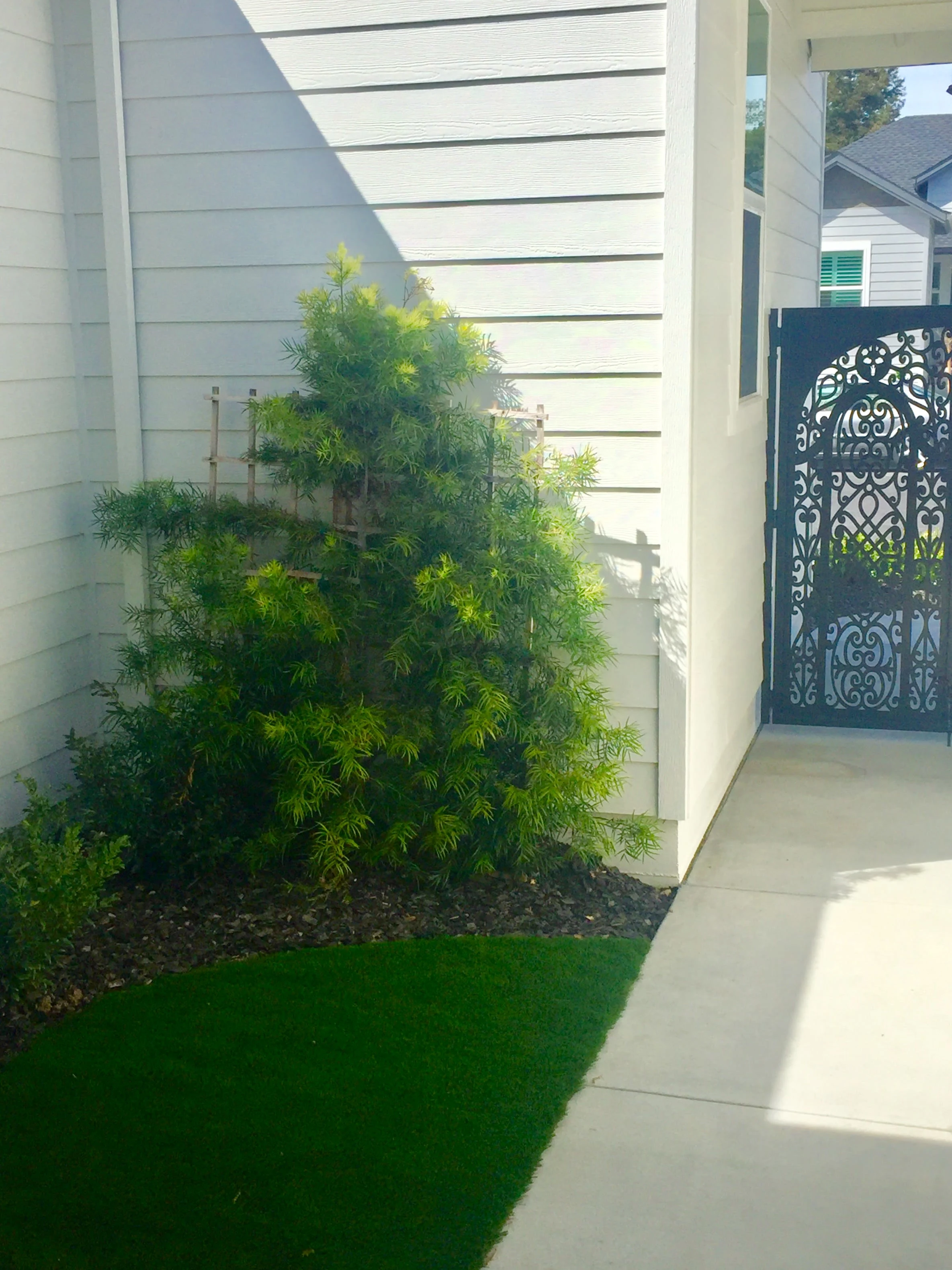 352 Graciella Drive photo 5