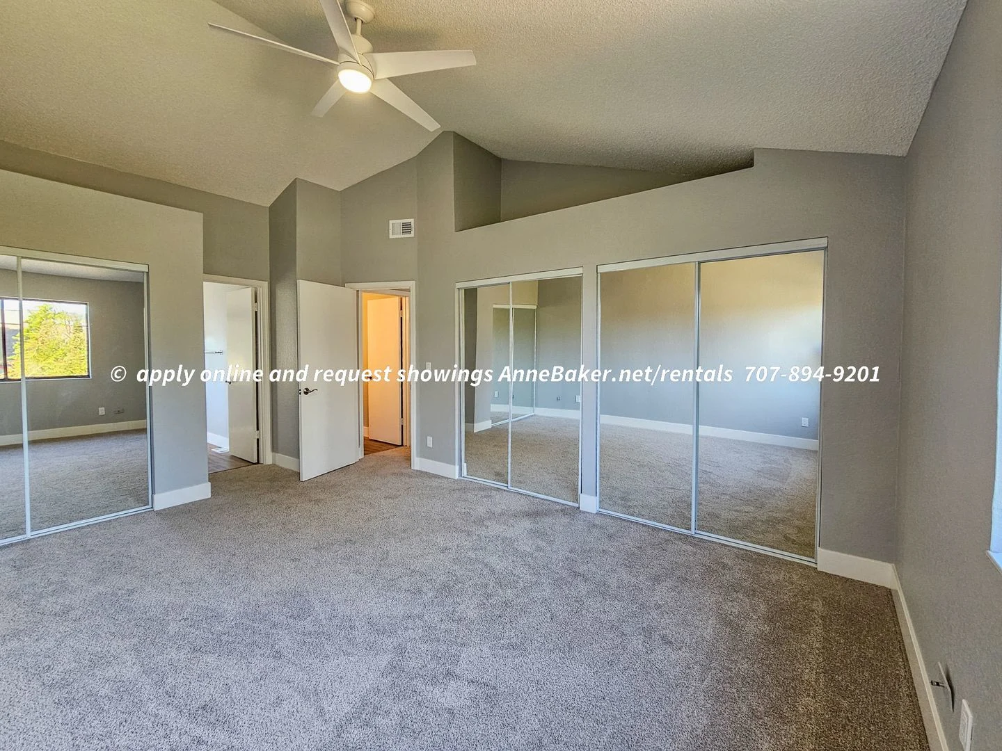 Newly Updated - New Appliances, Flooring, Fixtures - 3-car Garage - Windsor photo 4