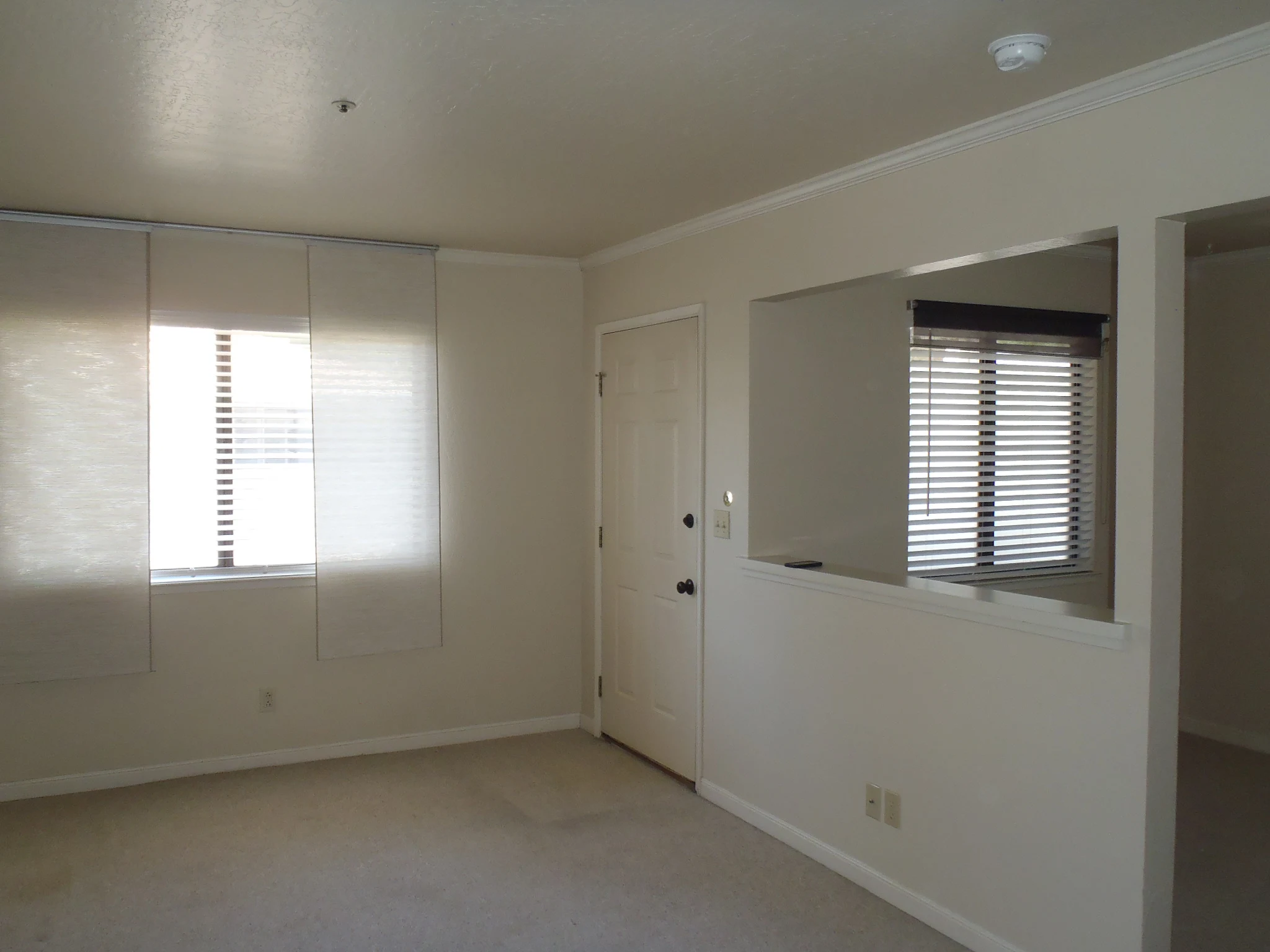 142 Belmont Street photo 5