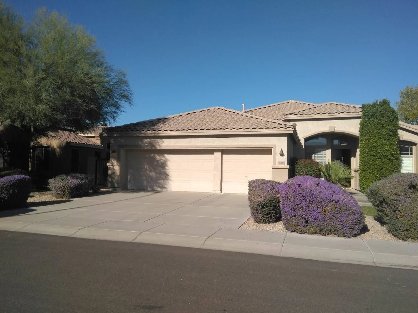 682 W Raven Dr Chandler, AZ 85286
