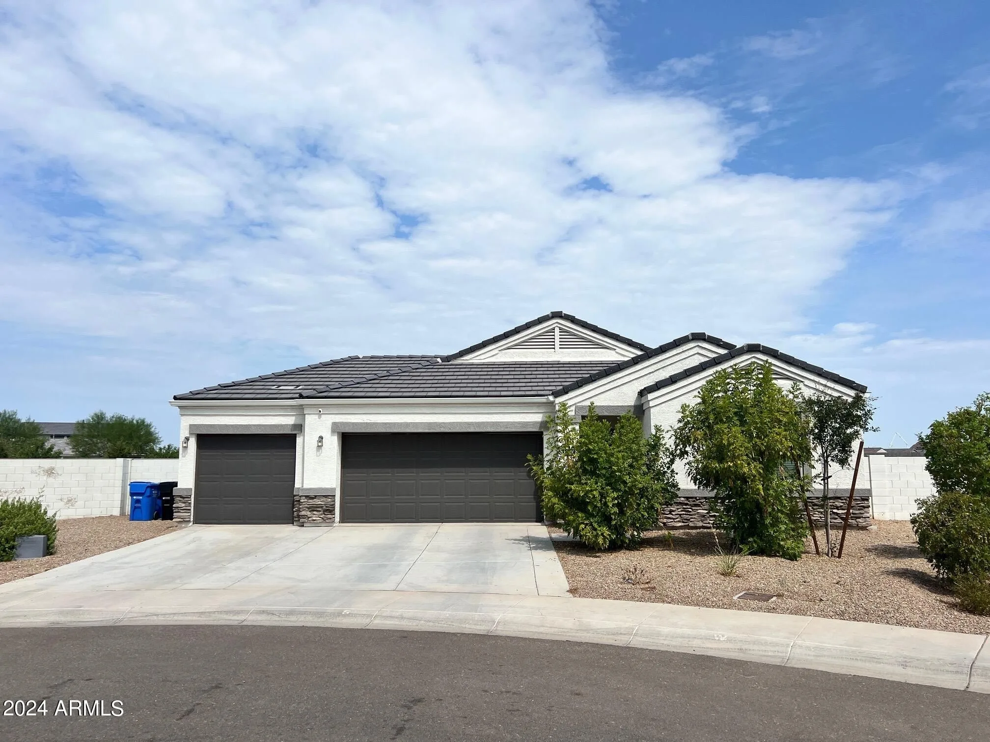10424 S 54th Ln photo 2