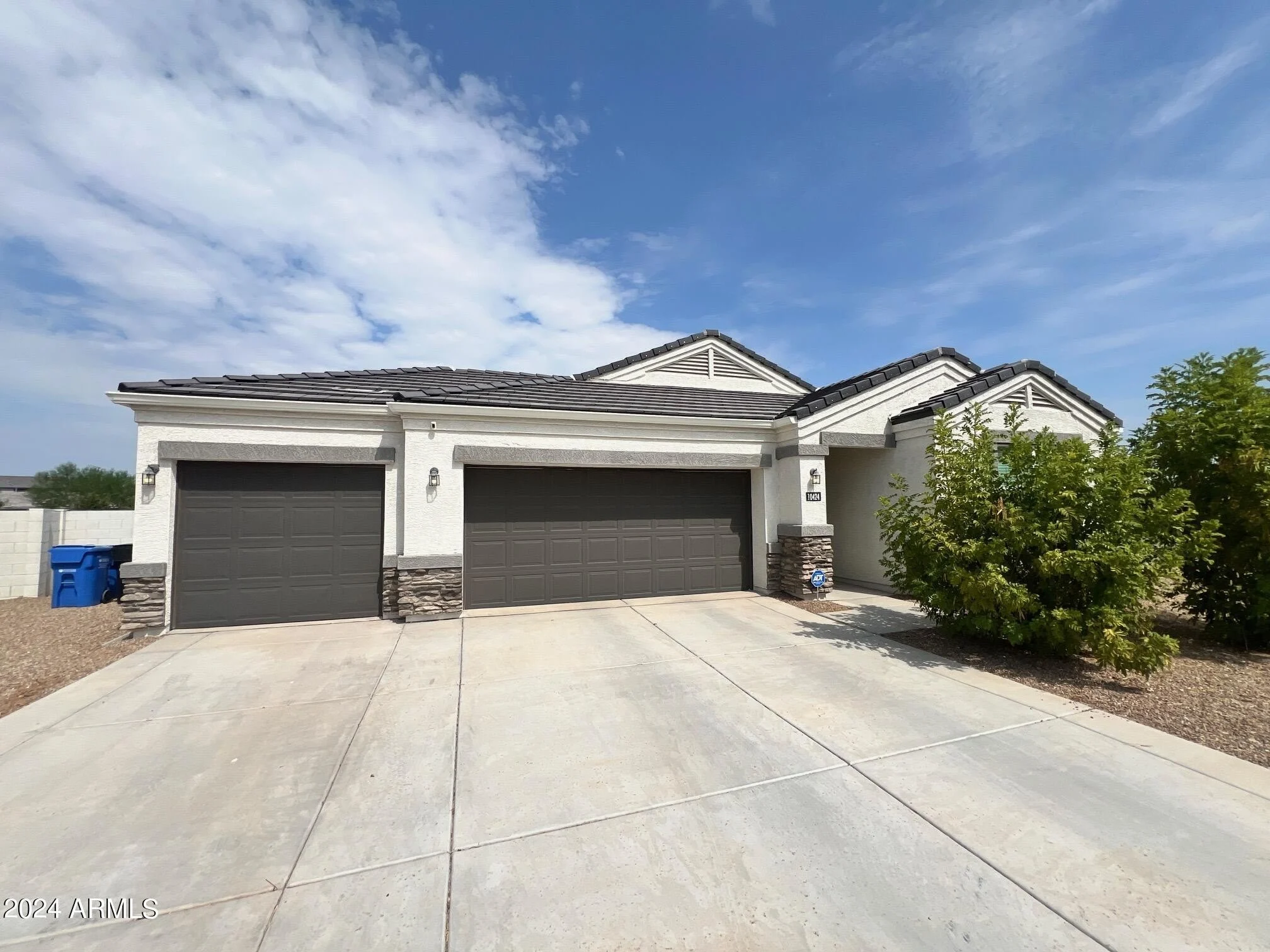 10424 S 54th Ln photo 4