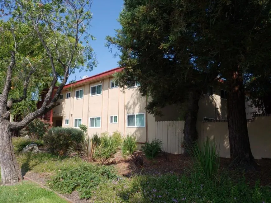 Driftwood Apartments photo 4