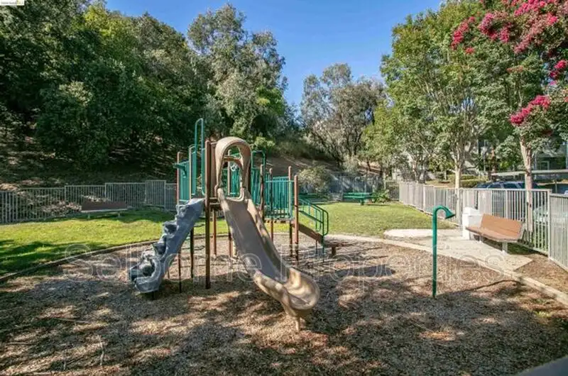 660 Canyon Oaks Dr photo 3