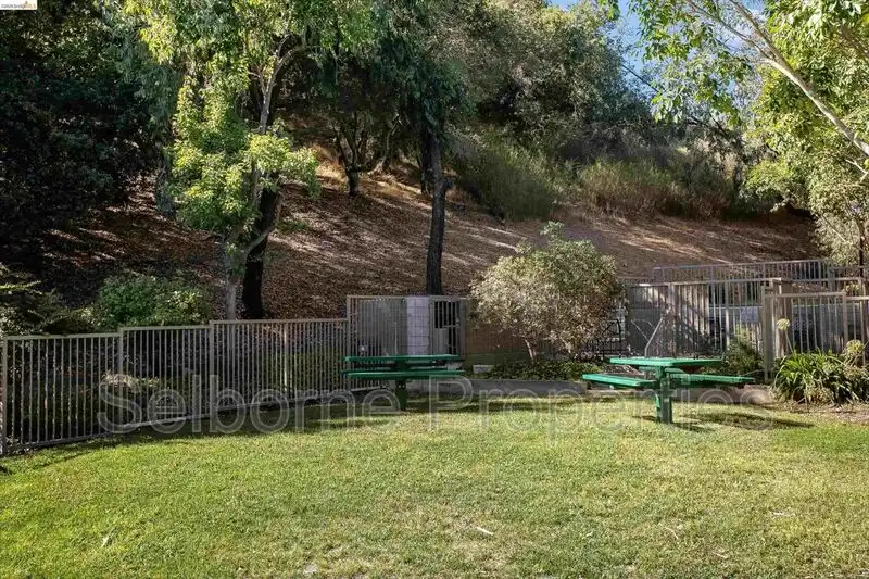 660 Canyon Oaks Dr photo 2
