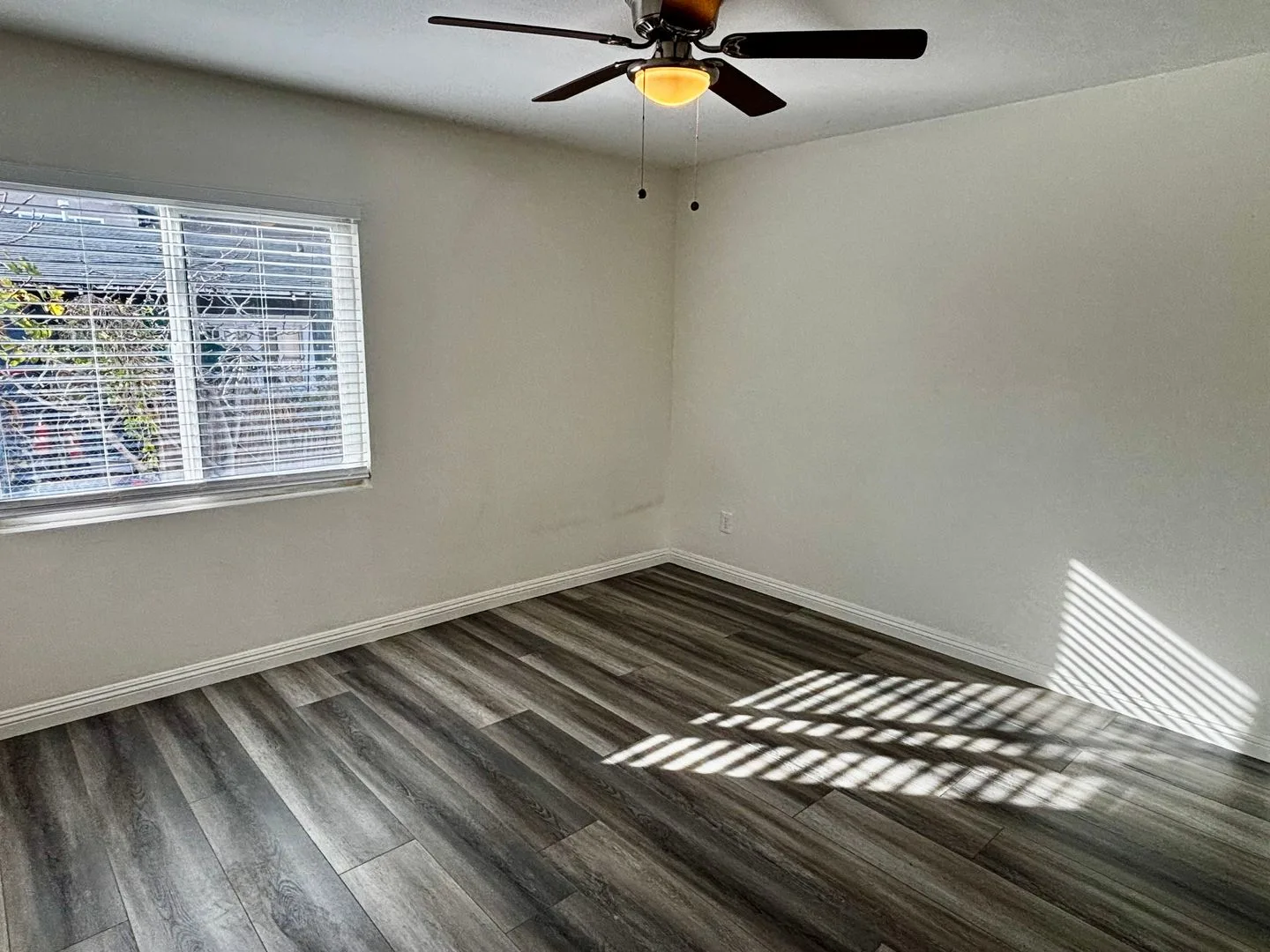 Remodeled  2 bed 1 bath photo 5