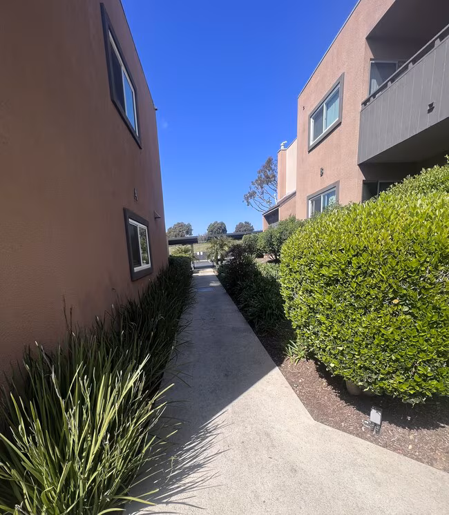 Villa Pacific Apartments photo 5
