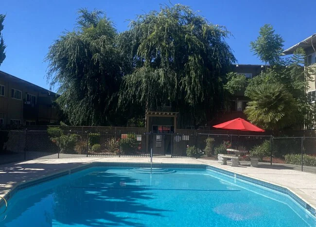 959 Torrano Ave Hayward, CA 94542 photo 2