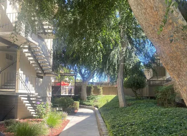 959 Torrano Ave Hayward, CA 94542 photo 5