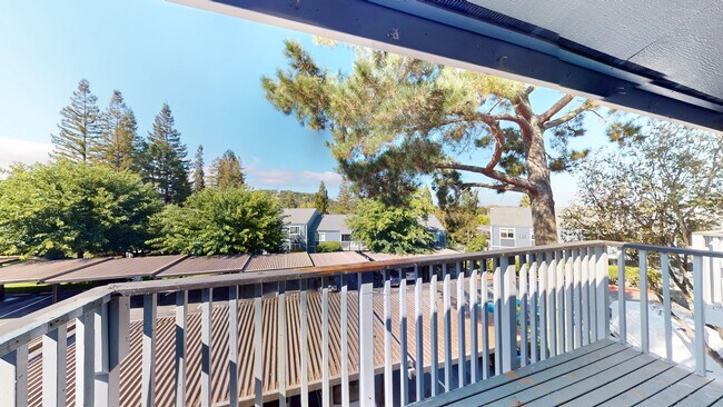 551 Alameda del Prado Novato, CA 94949 photo 5