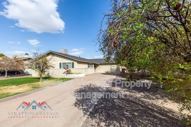 3037 N 81st St Scottsdale, AZ 85251 photo 2