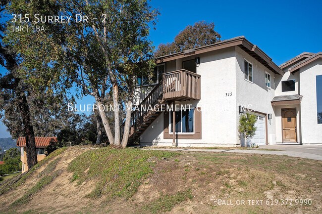 315 Surrey Dr Bonita, CA 91902