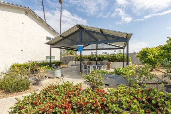 316 Smilax Rd San Marcos, CA 92069 photo 5