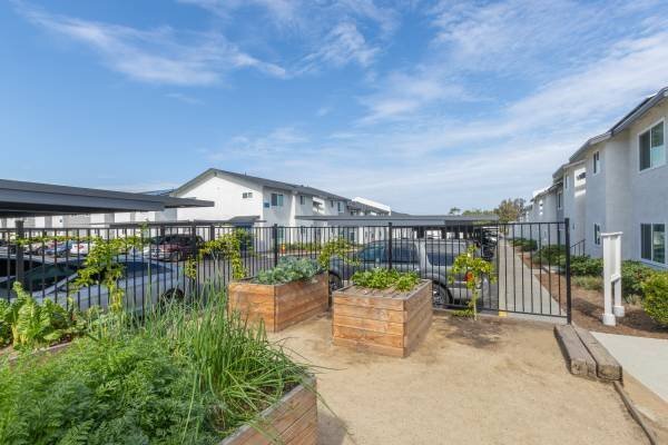 316 Smilax Rd San Marcos, CA 92069 photo 3