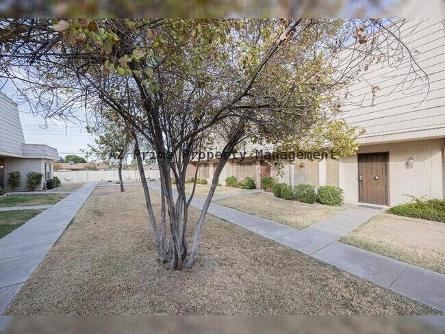 907 E Lodge Dr Tempe, AZ 85283 photo 3