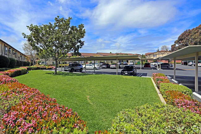 La Jolla Terrace photo 4
