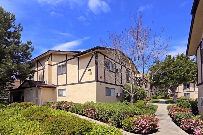 La Jolla Terrace photo 5