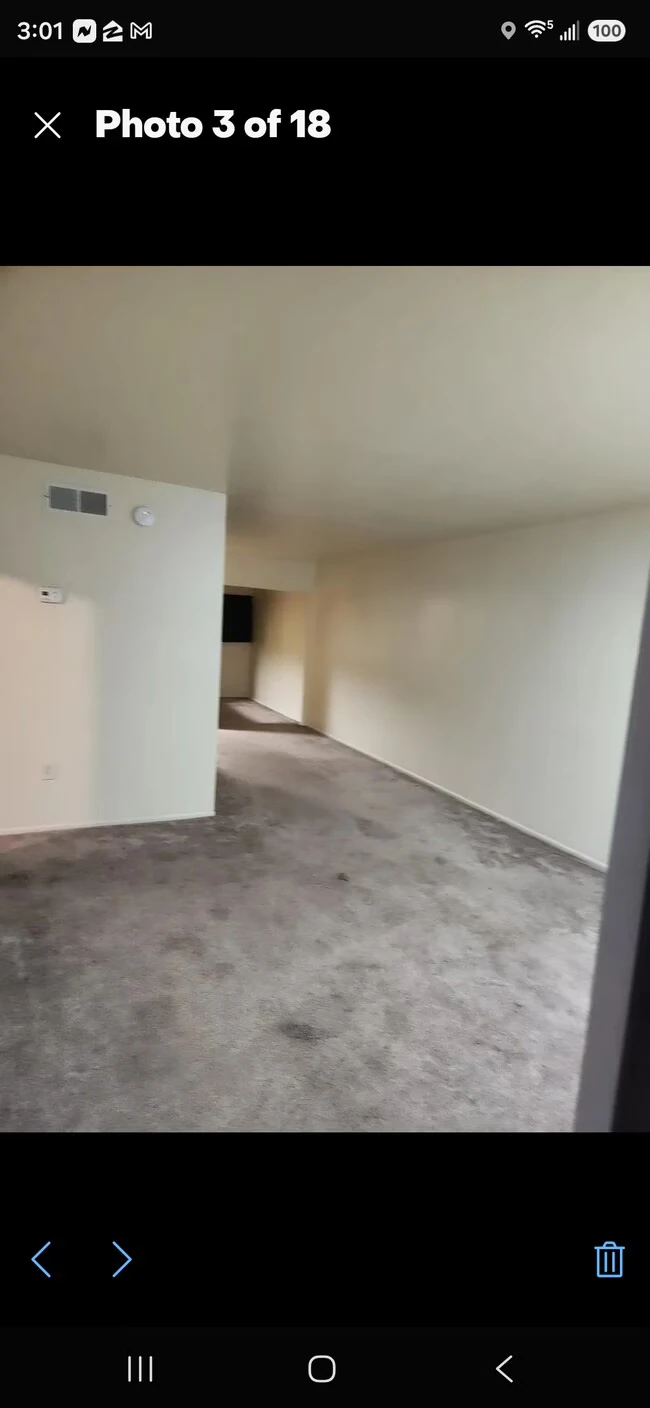 461 W Holmes Ave Mesa, AZ 85210 photo 5