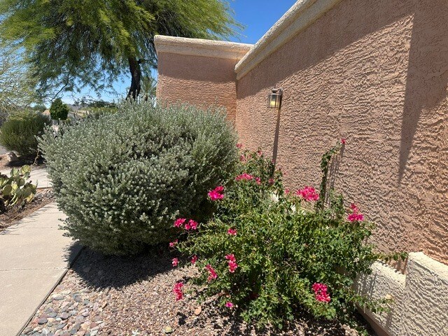 17216 E Salida Dr Fountain Hills, AZ 85268 photo 5