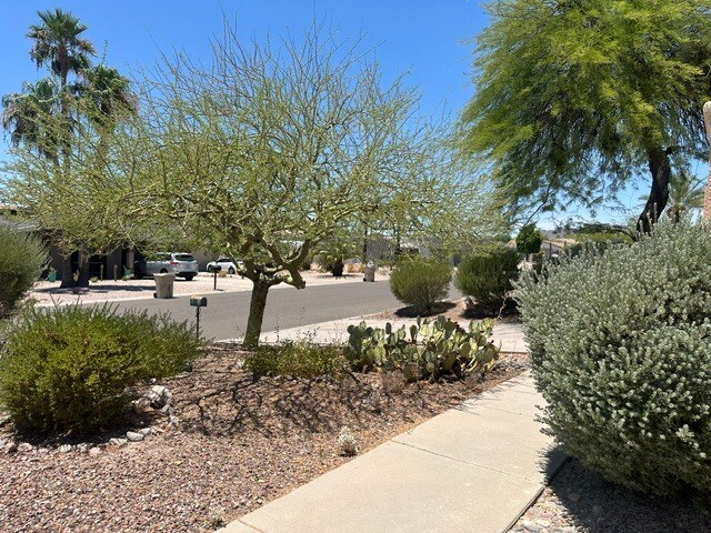 17216 E Salida Dr Fountain Hills, AZ 85268 photo 4