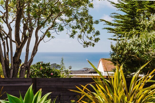 531 Rimini Rd Del Mar, CA 92014 photo 3
