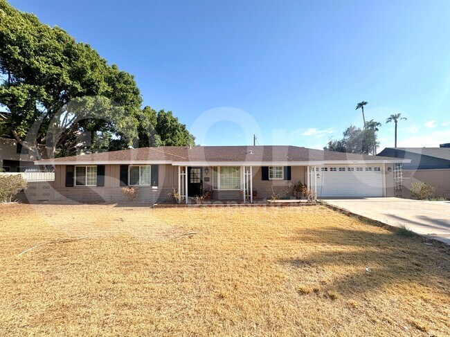 3421 E Camelback Rd photo 3