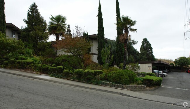 Summerhill Apartments photo 2
