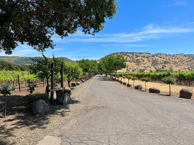 1278 State Ln Napa, CA 94558 photo 2