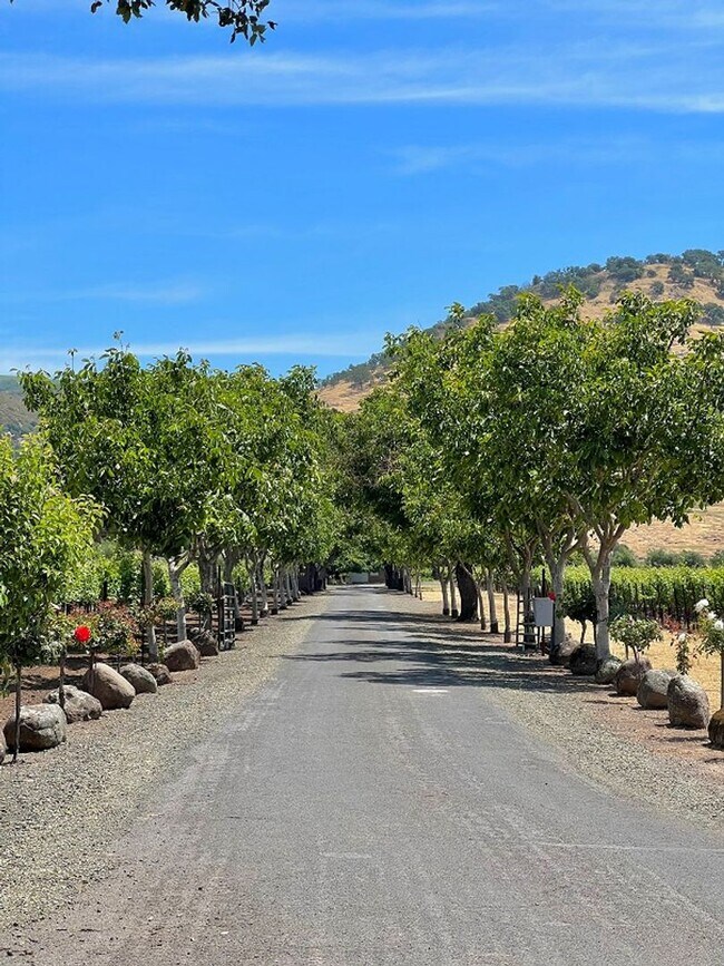 1278 State Ln Napa, CA 94558 photo 3