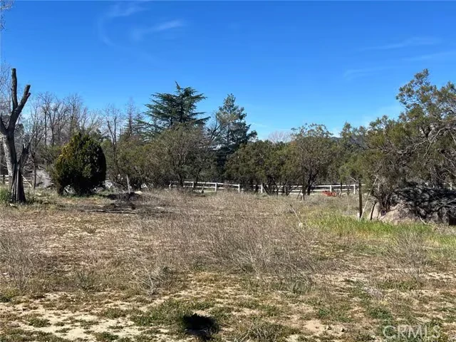 38900 Howard Rd Anza, CA 92539 photo 5