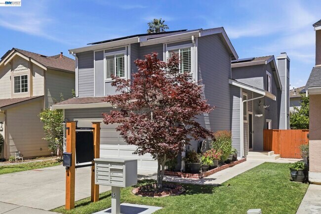 4773 Ridgewood Dr Fremont, CA 94555 photo 3