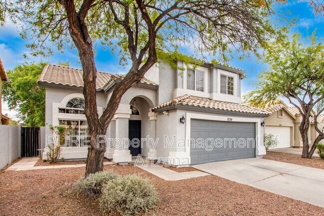 1729 W Harvard Ave Gilbert, AZ 85233 photo 3