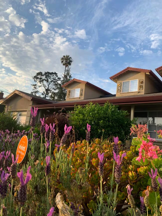 4460 Stanford Ave Castro Valley, CA 94546 photo 2