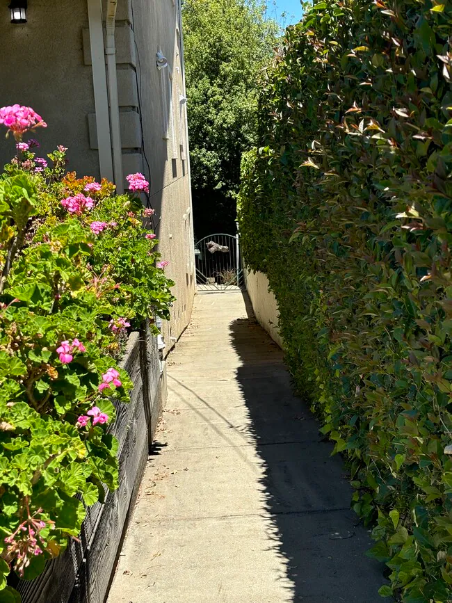 4460 Stanford Ave Castro Valley, CA 94546 photo 3