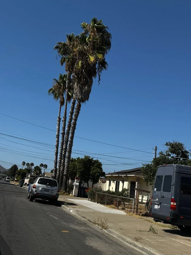 417 S 2nd St El Cajon, CA 92019 photo 3