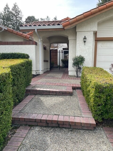 335 Live Oak Dr Danville, CA 94506 photo 3