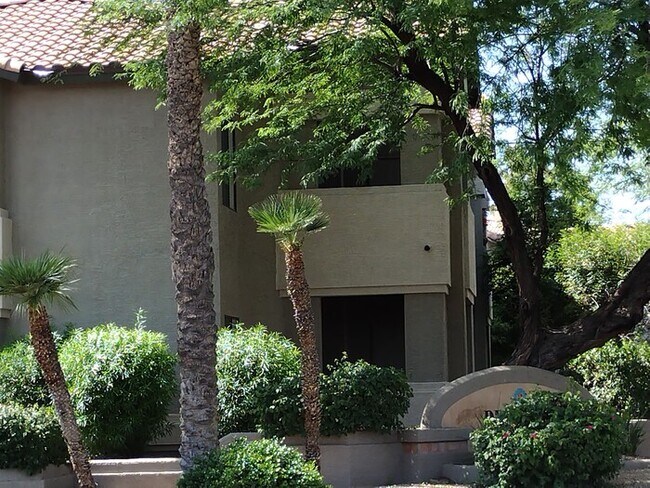 9600 N 96th St Scottsdale, AZ 85258 photo 3