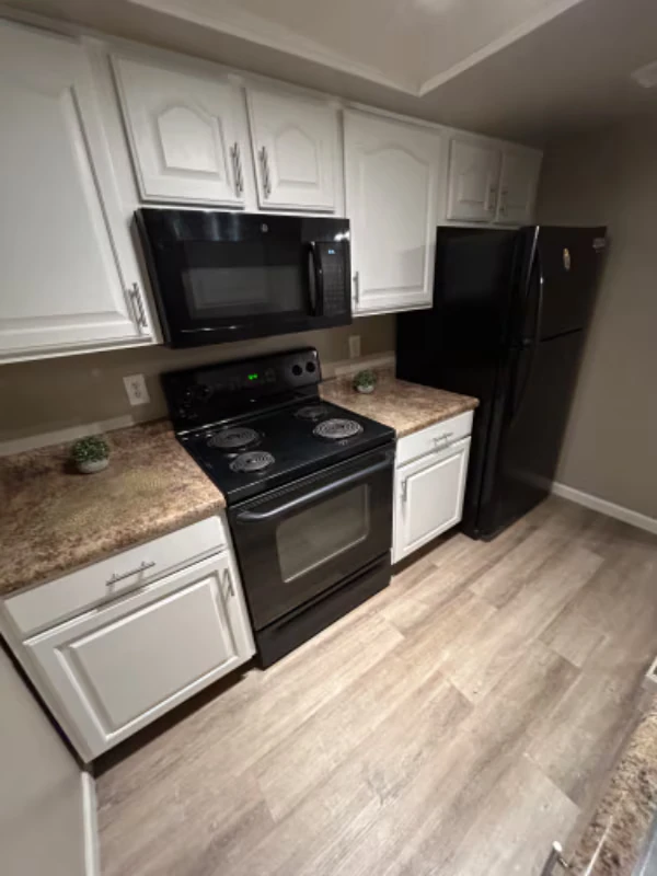 461 W Holmes Ave Mesa, AZ 85210 photo 2
