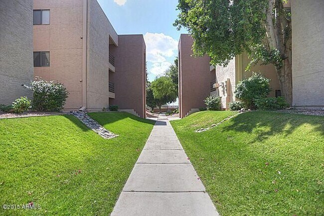 1340 N Recker Rd Mesa, AZ 85205 photo 3