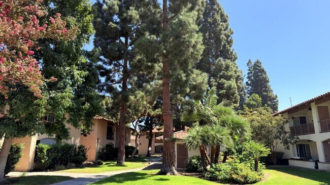 6019 Rancho Mission Rd San Diego, CA 92108 photo 5