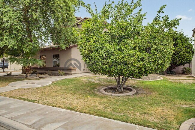2172 W Enfield Way Chandler, AZ 85286 photo 5