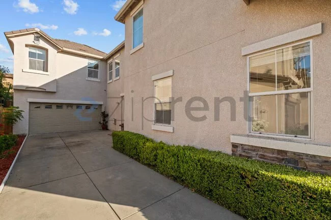 554 Blue Cypress Way photo 5