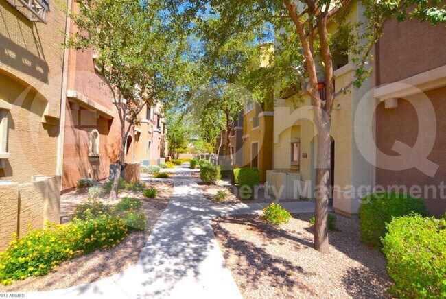240 W Juniper Ave Gilbert, AZ 85234 photo 2